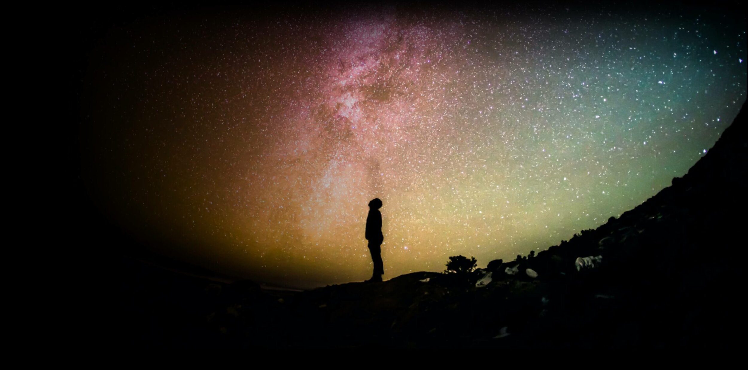 person looking up at starry sky