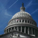 White Paper: Automated Government