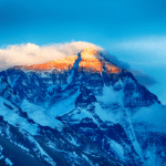 Everest Group nombra a Roboyo como competidor principal en el sector de la automatización inteligente de procesos (IPA)