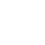 Roboyo Academy logo in white